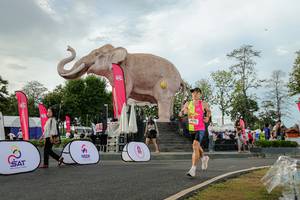 BIB: 
                            <button type="button" onclick="openModal(26528374)" class="btn btn-primary btn-sm float-right btn-popup" data-toggle="modal" data-target=".modal-high-quality">
                        <i class="fas fa-shopping-cart"></i> Add to Cart
                    </button>
                                            <button type="button" onclick="isThisMe(26528374, true)" class="btn btn-success btn-sm float-right btn-popup btn-isme hidden" data-toggle="tooltip" data-placement="bottom" title="นี่คือรูปของคุณใช่ไหม คลิกที่นี่เพื่อเอาเข้าอัลบั้ม">
                        <i class="fas fa-plus"></i> Add to album
                    </button>
                    <button type="button" onclick="isThisMe(26528374, false)" class="btn btn-warning btn-sm float-right btn-popup btn-isnotme hidden">
                        <i class="fas fa-ban"></i> Remove from album
                    </button>